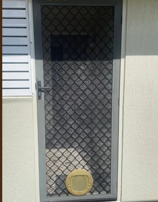 Before: old grille to fine stainless mesh
